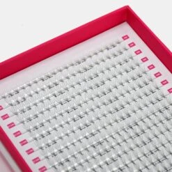 LashBase Limited Shop -LashBase Limited Shop 4DVolumeFans XXLTray 2