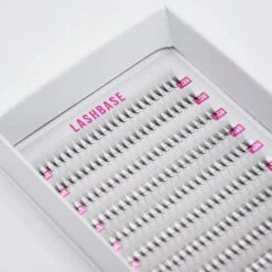 6D Ultra Narrow Fans -LashBase Limited Shop 6D UltraNarrow Fans