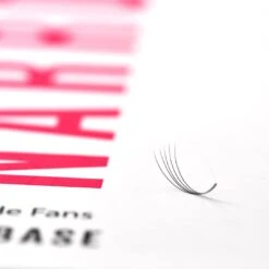 LashBase Limited Shop -LashBase Limited Shop DSC 6560 Edit2