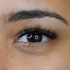 PROeffect+ DIY Lash Kit -LashBase Limited Shop Finalphoto