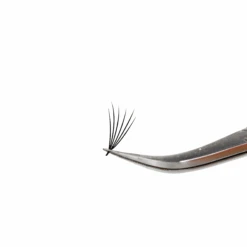 6D Flat Pro Made Fans - Camellia 4 6D Flat Pro Made Fans - Camellia -LashBase Limited Shop FlatProMade 6DFan