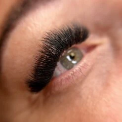 6D Flat Pro Made Fans - Camellia 5 6D Flat Pro Made Fans - Camellia -LashBase Limited Shop IMG 9396 3