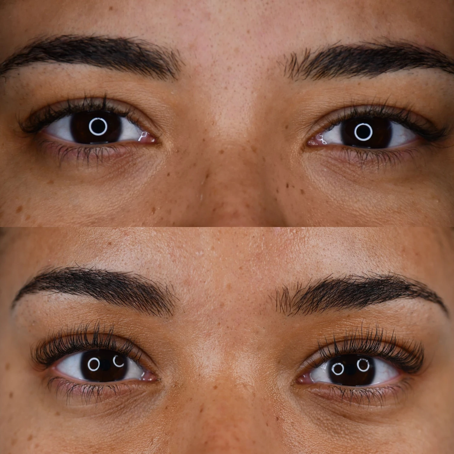 Lifted. Treatment Bundle 2 Lifted. Treatment Bundle - Image 2