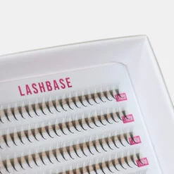 5D Ultra Narrow Fans 10 5D Ultra Narrow Fans -LashBase Limited Shop LashBase Narrow Fan Lash Extensions 5D