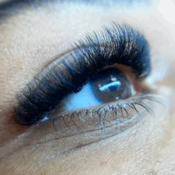 10D Third Generation Volume Fans -LashBase Limited Shop ThirdGenerationVolumeFans10D3