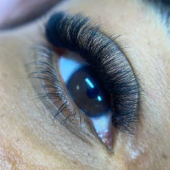 8D Third Generation Volume Fans -LashBase Limited Shop Third Generation Volume Fans 2