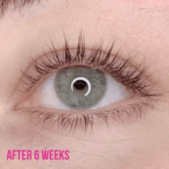 Lash Treatment Serum -LashBase Limited Shop lashbase limited aftercare lash treatment serum 21043365150876