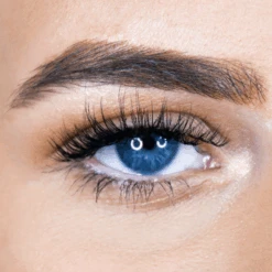 Faux Pro - FP01 -LashBase Limited Shop lashbase limited beauty faux pro fp01 30036457226396