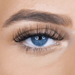 Faux Pro - FP05 -LashBase Limited Shop lashbase limited beauty faux pro fp05 30045309042844