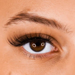 LB02 Natural Strip Lashes -LashBase Limited Shop lashbase limited beauty lb02 natural strip lashes 23179621564572