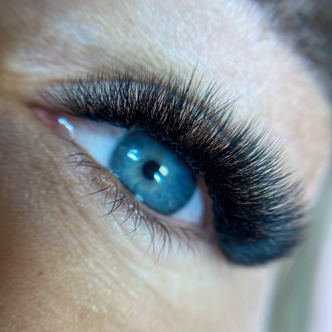 12D Third Generation Volume Fans 2 12D Third Generation Volume Fans - Image 2