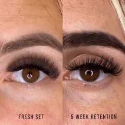 12D Third Generation Volume Fans 11 12D Third Generation Volume Fans -LashBase Limited Shop lashbase limited false eyelashes c 8mm third generation volume fans 12d 71904554156415