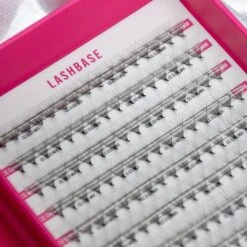 12D Third Generation Volume Fans 8 12D Third Generation Volume Fans -LashBase Limited Shop lashbase limited false eyelashes c 8mm third generation volume fans 12d 71917812810111
