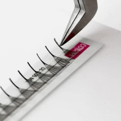 5D Third Generation Volume Fans -LashBase Limited Shop lashbase limited false eyelashes c 8mm third generation volume fans 5d 71928623923583