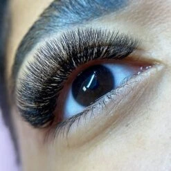 5D Third Generation Volume Fans -LashBase Limited Shop lashbase limited false eyelashes c 8mm third generation volume fans 5d 71947261116799