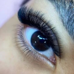 6D Third Generation Volume Fans 7 6D Third Generation Volume Fans -LashBase Limited Shop lashbase limited false eyelashes c 8mm third generation volume fans 6d 71943966982527