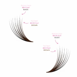 Double Layer Volume Fans - Black / Brown -LashBase Limited Shop lashbase limited false eyelashes c cc exclusive double layer volume fans black brown 38883505733788