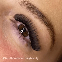 LBX Collection Mega Volume Lashes 0.03mm 11 LBX Collection Mega Volume Lashes 0.03mm -LashBase Limited Shop lashbase limited lashes lbx collection mega volume lashes 0 03mm 33109916975260