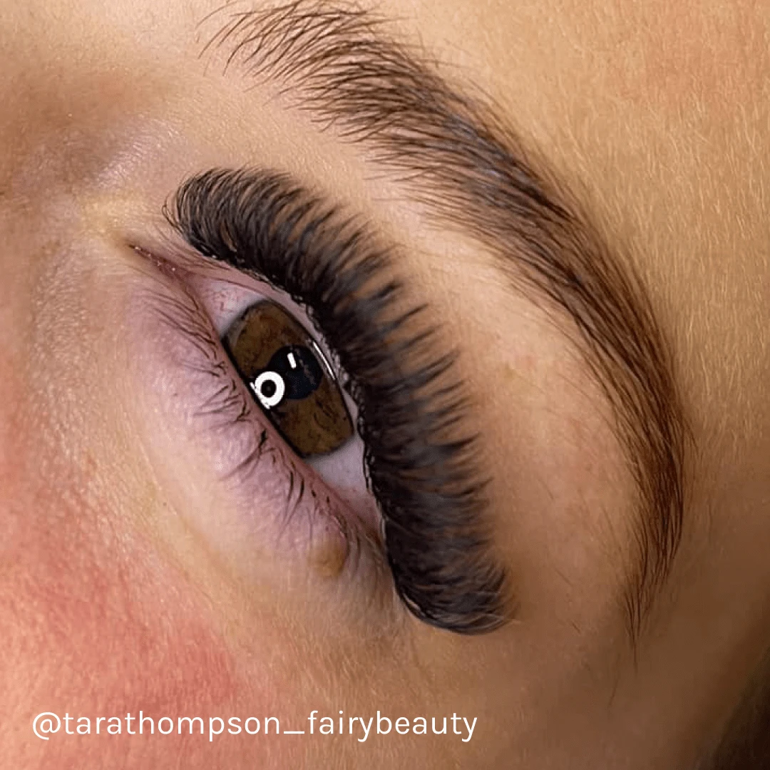 LBX Collection Mega Volume Lashes 0.03mm 5 LBX Collection Mega Volume Lashes 0.03mm - Image 5