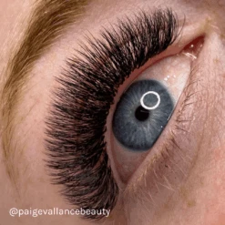 LBX Collection Volume Lashes 0.06mm 10 LBX Collection Volume Lashes 0.06mm -LashBase Limited Shop lashbase limited lashes lbx collection volume lashes 0 06mm 33110243508380