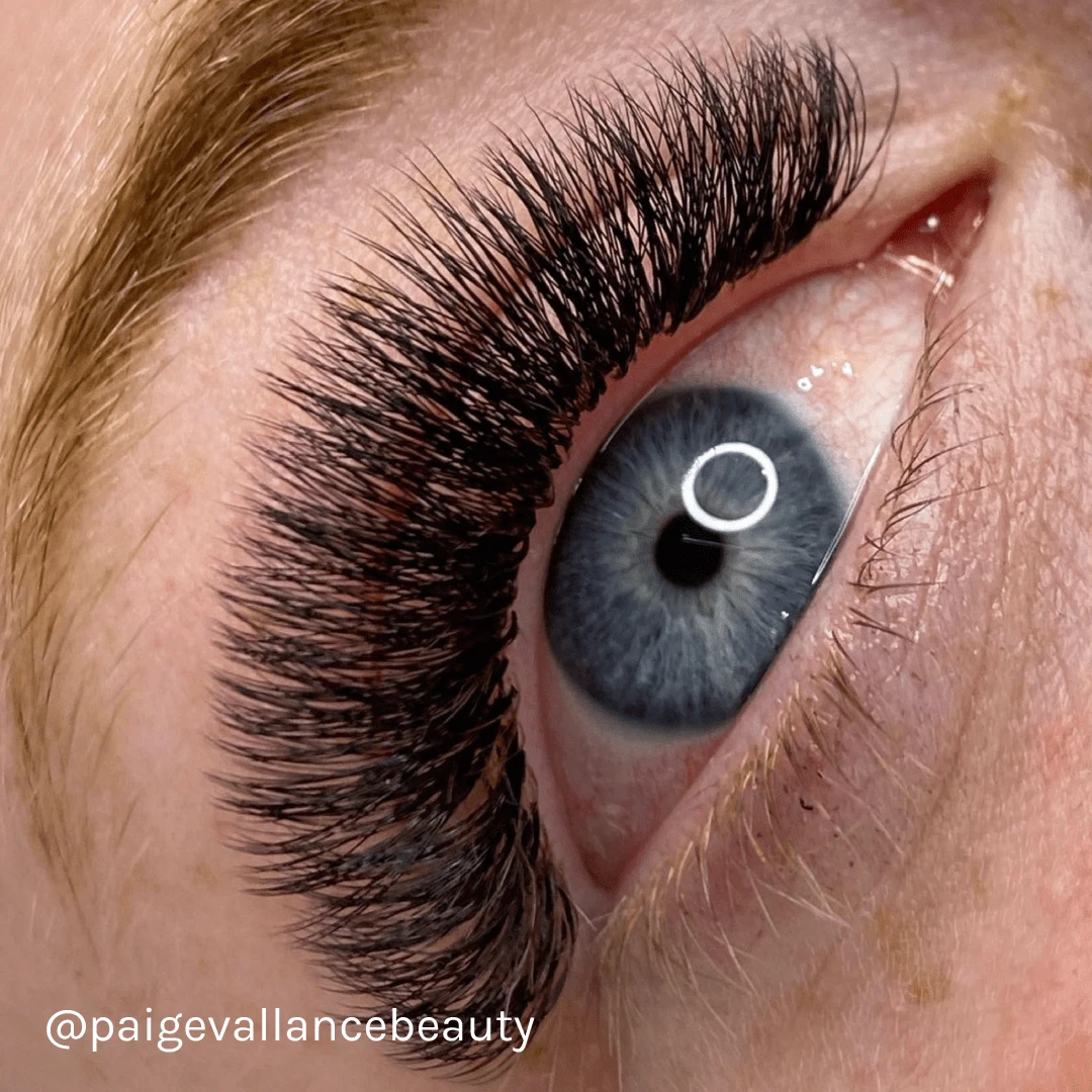 LBX Collection Volume Lashes 0.06mm 4 LBX Collection Volume Lashes 0.06mm - Image 4